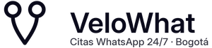 VeloWhat Logo